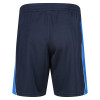 3Q Igen Short