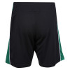 3Q Igen Short
