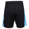 3Q Igen Short