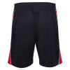3Q Igen Short