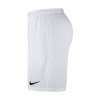 Nike Park III Short
