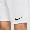 Nike Park III Short