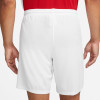 Nike Park III Short