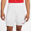 Nike Park III Short
