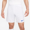 Nike Park III Short