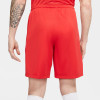Nike Park III Short