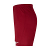 Nike Park III Short