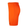 Nike Park III Short