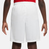 Nike Park III Short