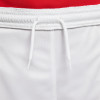 Nike Park III Short