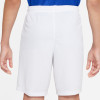 Nike Park III Short