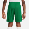 Nike Park III Short