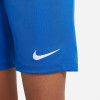 Nike Park III Short