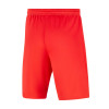 Nike Park III Short