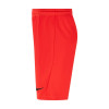 Nike Park III Short