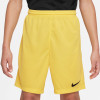 Nike Park III Short