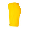 Nike Park III Short