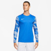 Nike Park IV Gk Jersey - Royal Blue/White
