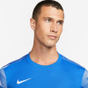 Nike Park IV Gk Jersey - Royal Blue/White