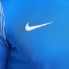 Nike Park IV Gk Jersey - Royal Blue/White