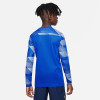 Nike Park IV Gk Jersey - Royal Blue/White