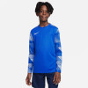 Nike Park IV Gk Jersey - Royal Blue/White