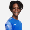 Nike Park IV Gk Jersey - Royal Blue/White