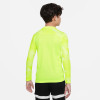 Nike Park IV Gk Jersey - Volt/White/Black