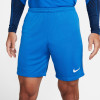 Nike League III Knit Shorts