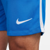 Nike League III Knit Shorts