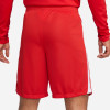 Nike League III Knit Shorts