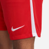 Nike League III Knit Shorts