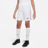 Nike League III Knit Shorts