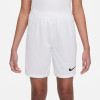 Nike League III Knit Shorts