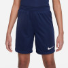 Nike League III Knit Shorts