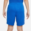 Nike League III Knit Shorts