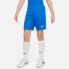 Nike League III Knit Shorts
