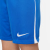 Nike League III Knit Shorts