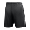 Nike Park 26 Training Shorts