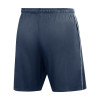 Nike Park 26 Training Shorts