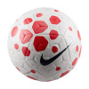 Nike Academy FA England Accredited Football