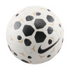 Nike Pitch Football