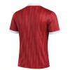 Nike Challenge VI Jersey (Short Sleeve)