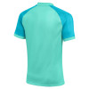 Nike Trophy VI Jersey (Short Sleeve)