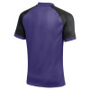 Nike Trophy VI Jersey (Short Sleeve)