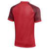Nike Trophy VI Jersey (Short Sleeve)