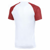Nike Academy II Jersey (Short Sleeve)