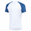 Nike Academy II Jersey (Short Sleeve)