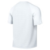 Nike Park VIII Jersey (Short Sleeve)