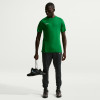 Nike Park VIII Jersey (Short Sleeve)